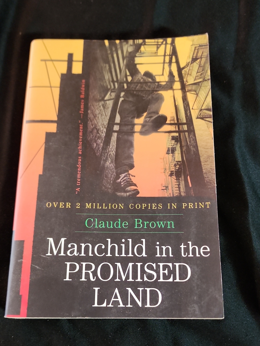 Manchild in the Promised Land